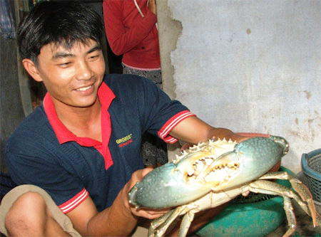 Phú Yên: Bắt được cua khổng lồ trên đầm Ô Loan