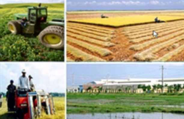 Khẩn trương hoàn thành các đề án của chương trình &quot;tam nông&quot;