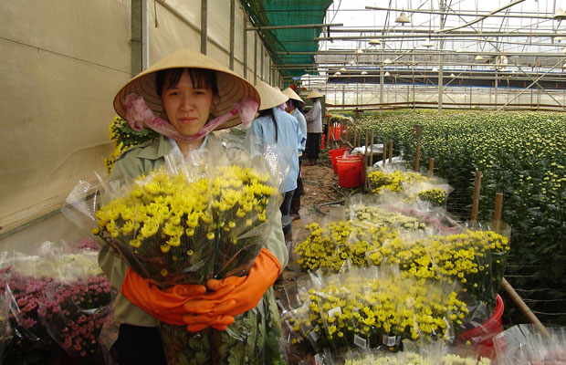 Làng hoa làm du lịch