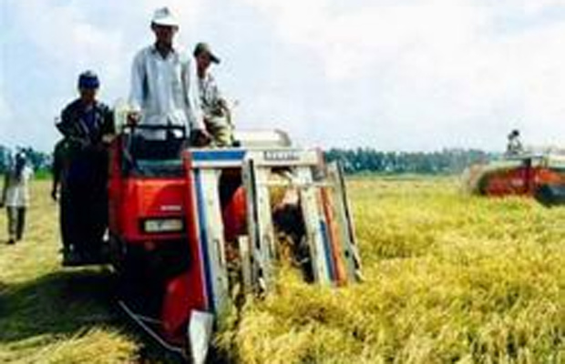 Đề nghị miễn, giảm thuế sử dụng đất nông nghiệp trong 10 năm