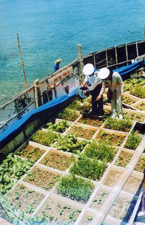 Màu xanh trên đảo.