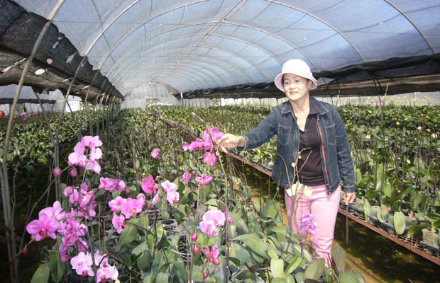 Thi đua yêu nước gắn với sản xuất, xây dựng đời sống nông thôn