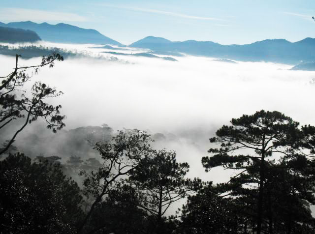 Khám phá rừng Bidoup - Núi  Bà