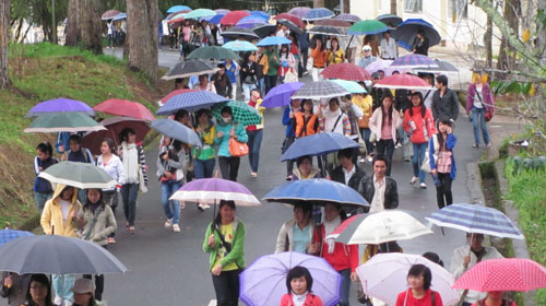 Những chiếc dù đủ màu sắc trẻ trung rợp kín con đường trong khuôn viên Trường ĐH Đà Lạt .