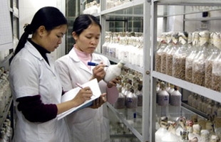10 năm, có 200 đề tài, dự án khoa học công nghệ cấp tỉnh