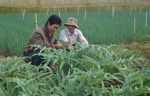 Cho một nguồn suối trong lành