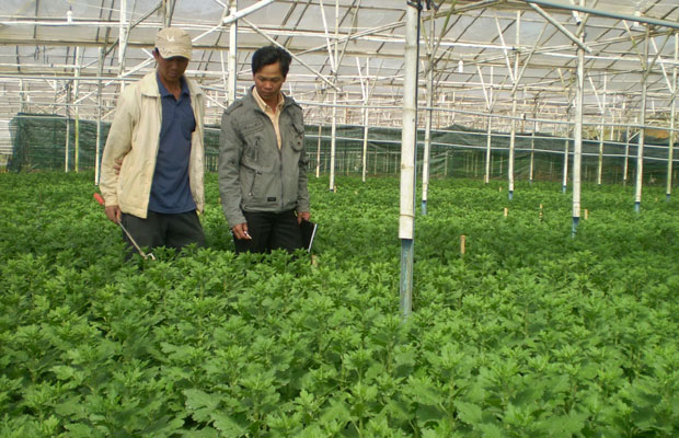 Duyệt danh sách các hộ khó khăn được vay vốn trong 30 ngày