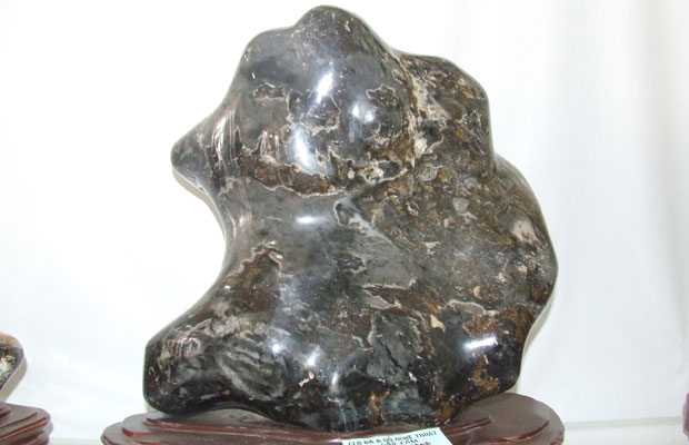 Triển lãm đá và gỗ nghệ thuật