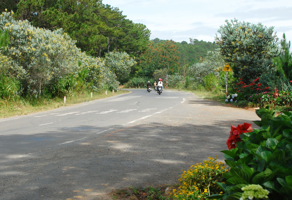 Đường mang tên Mimôza. 