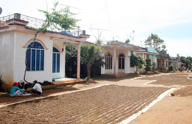 “Lạc nghiệp” từ những ngôi nhà 167