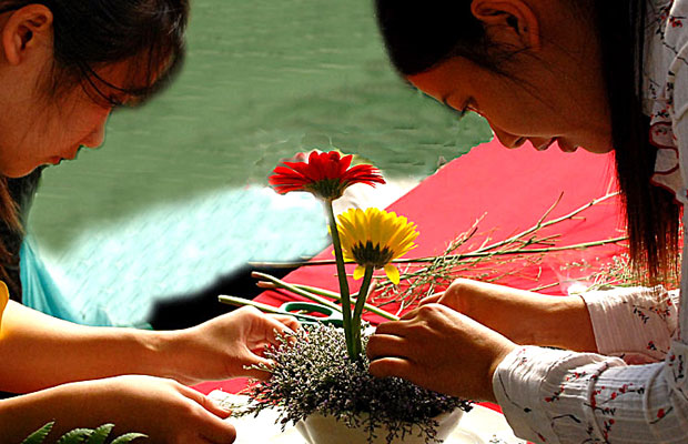 Cách lựa chọn nghề nghiệp tương lai