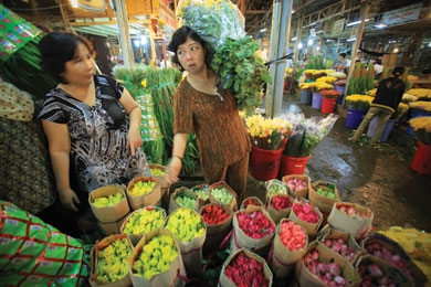 cho họa.jpg
