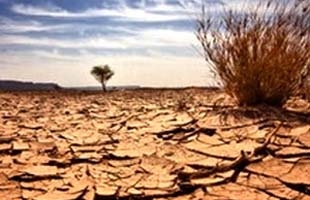 Sa mạc hóa đe dọa gần một tỷ người trên Trái Đất