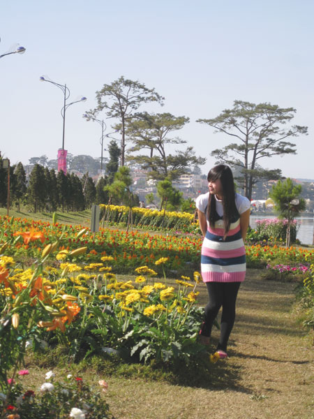 Ngày xuân ngấp nghé bên thềm