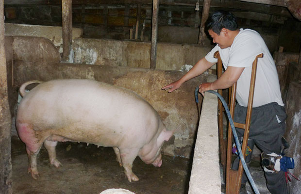 Nguyễn Văn Thu và cảm xúc cuộc sống trên chiếc xe lăn