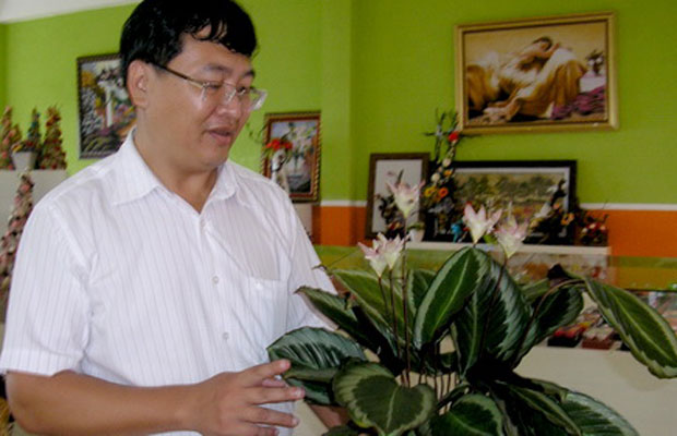 Nhân giống vô tính cây trầu bà có hoa tại Đà Lạt