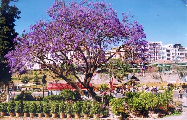 Cổ tích thời hiện đại