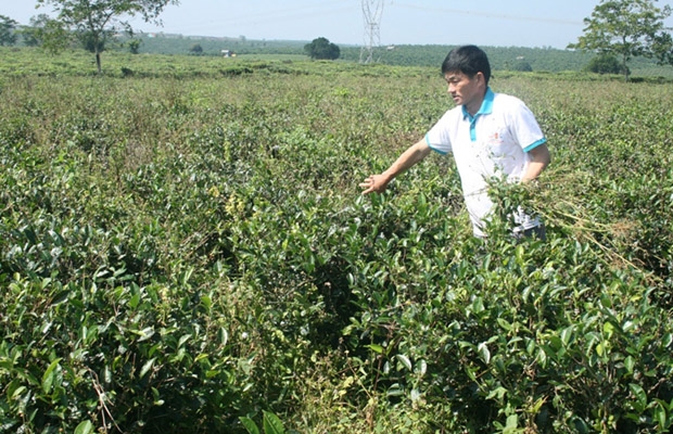 Sẽ kiểm tra, chấn chỉnh việc chi trả thu hồi đất dự án khu dân cư số 7 (Bảo Lộc)