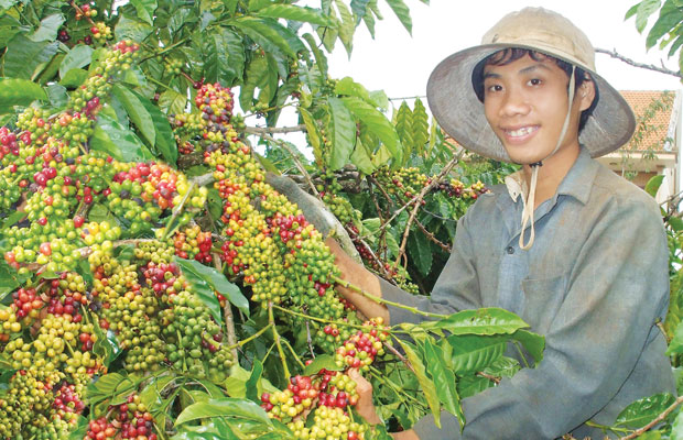 “3 cây” Thời hội nhập