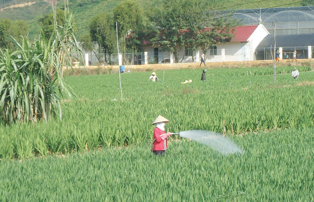 Vùng ven chuyển mình từ chương trình “Đột phá, tăng tốc”