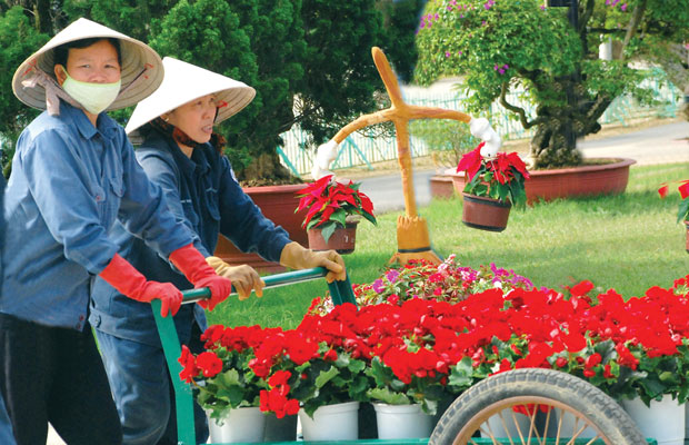 Người trồng  Hoa trên phố  Hoa