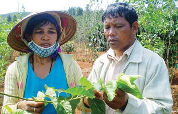 Đường tơ Cổng Trời