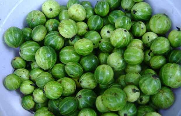 Cà Đắng - Prền Bơtang trong bữa ăn người Kơ Ho