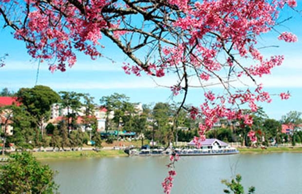 Mùa xuân tiếp sức niềm tin