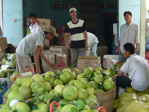 Nhà vườn ăn Tết lớn