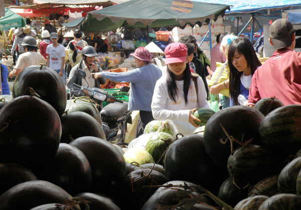 Chọn dưa hấu.