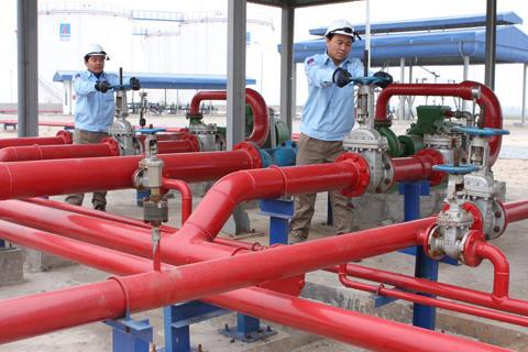 Sản xuất hơn 14 nghìn tấn quặng tuyển a-pa-tít