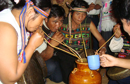 Cái lý của rừng