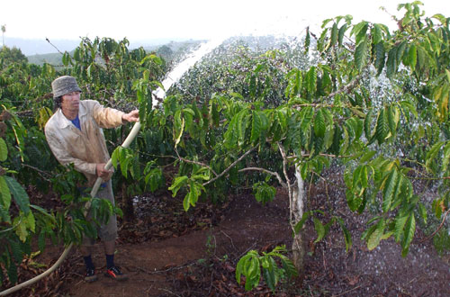 Trước nỗi lo chống hạn