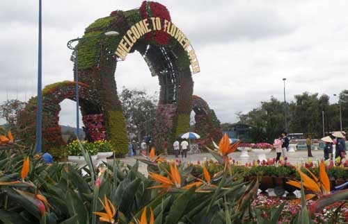 Festival hoa Đà Lạt lần IV sẽ khai mạc ngày 31/12/2011