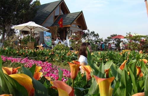 Không gian hoa 