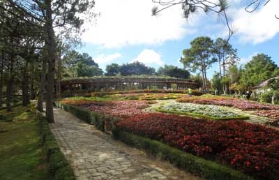 Chương trình nghệ thuật đặc biệt ở Đà Lạt: Backdrop là thiên nhiên