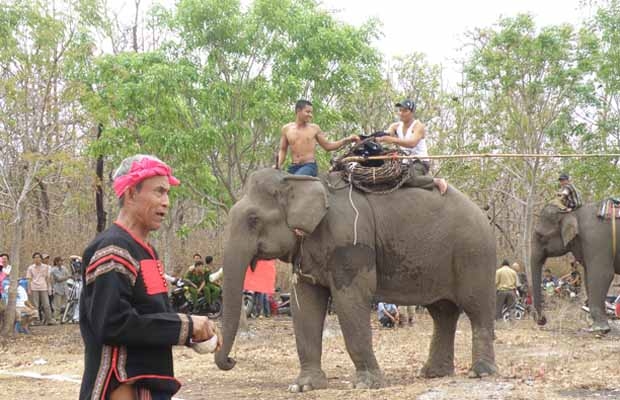 Già làng làm lễ cúng thần linh trước khi đi bắt voi rừng.