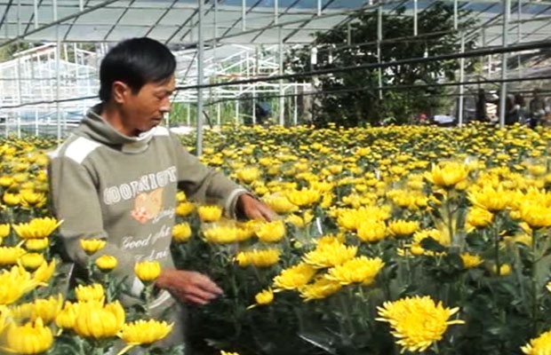 LỄ HỘI: Đôi điều suy ngẫm