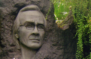 Nhạc Trịnh và tôi