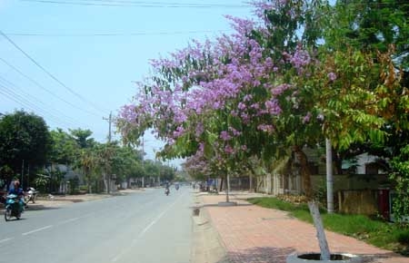 Đạ Tẻh, xao xuyến sắc màu trên đường 30.4