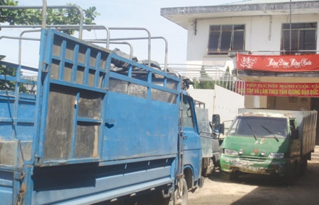 ĐẠ HUOAI: Chưa hạn chế được tình trạng vi phạm luật bảo vệ - phát triển rừng