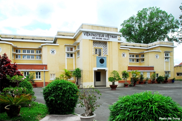 Công ty Vắc xin Pasteur Đà Lạt - Chọn hướng đi đúng dẫn đến thành công