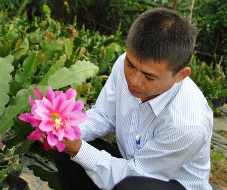 Được mùa quỳnh thơm