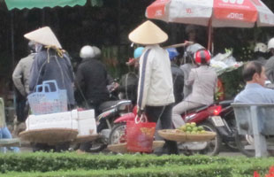 Gánh đời mưu sinh