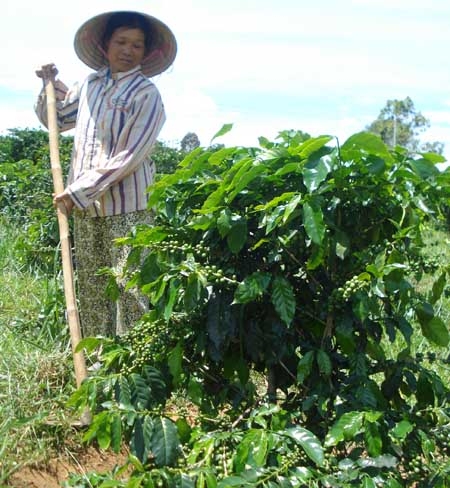 Bà Chọn đi nhận Bằng khen