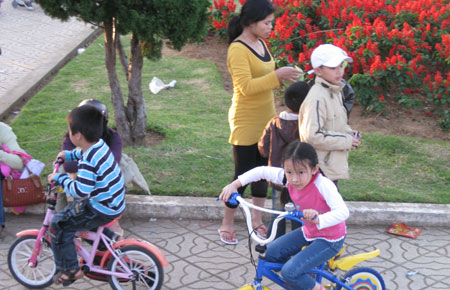 Di Linh, Cát Tiên, Đơn Dương tôn vinh các gia đình tiêu biểu