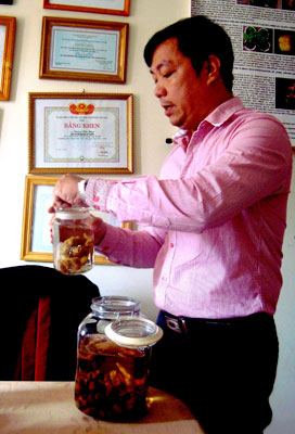 Sản xuất sâm Ngọc Linh chỉ trong… 15 ngày