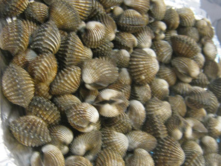 Sò huyết Ô Loan (Phú Yên) 