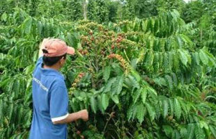 Điểm sáng Tân Thượng
