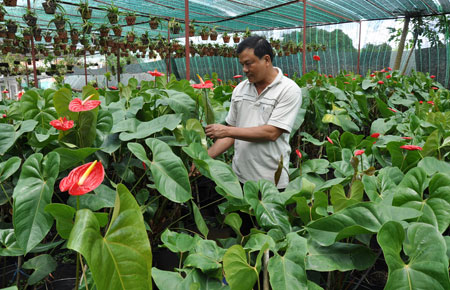Điều “bất ngờ” ở một chi hội